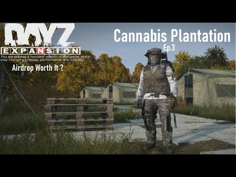 DayZ, Airdrop not what I expected ( Cannabis Plantation Ep.3 )