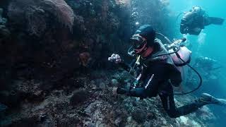 Who’s Gonna Ride Your wild horses - The Cooltrane Quartet