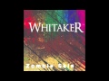 Whitaker — Zombie Skin (Murp Cover) 
