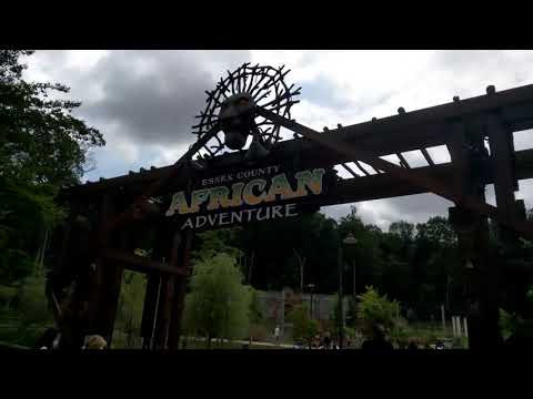 Turtle Back Zoo African Adventure 🦓🐘 | Full Walking Tour July 16, 2020