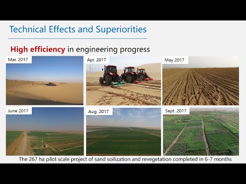 China Innovative Desert Soilization-How to Restore Desert Into Fertile Farmland Agriculture?