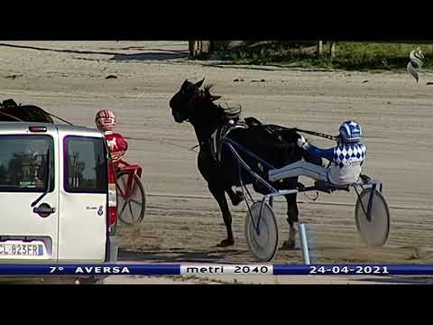 Aversa trotto 24 Aprile 2021 - 7° Corsa