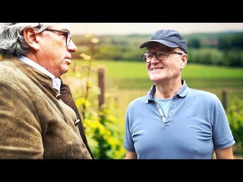 Everything for Pinot Noir – Rudolf Fürst Winery, Franconia