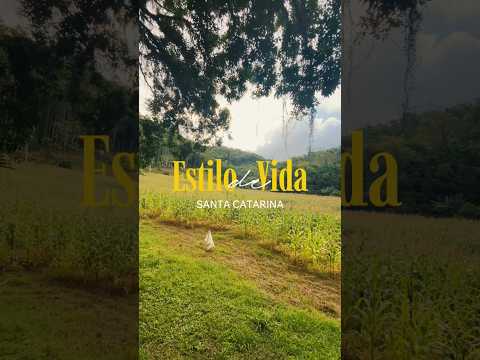Estilo de vida em Santa Catarina #pomerode #imoveisvenda #casa #riodoscedros #venda