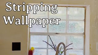  Stripping Wallpaper
