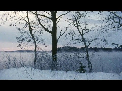 Video thumbnail for Sempervirens (Demo)