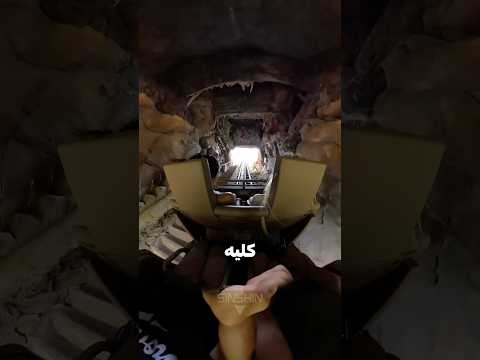 SinShin and SinshinAuto