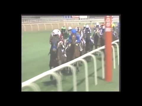 2008 DUBAI WORLD CUP NIGHT _Sheema Classic