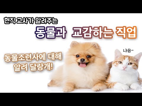 ⭐️직업과 학과⭐️동물조련사가 되려면 무슨 학과를 가야 할까?(특수동물학과 편)[나도 강형욱훈련사처럼~?]