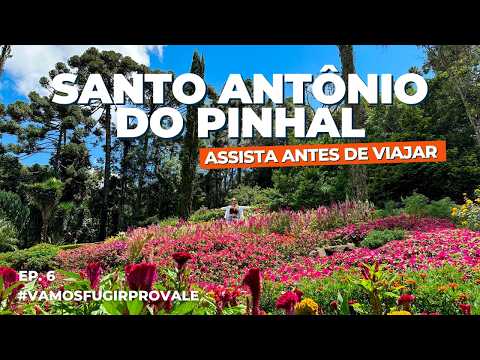 Conheça SANTO ANTÔNIO do PINHAL - SP: melhores passeios e restaurantes (com PREÇOS!)