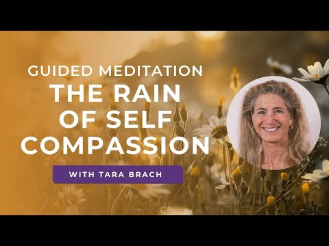 Guided Meditation: The RAIN of Self Compassion with Tara Brach