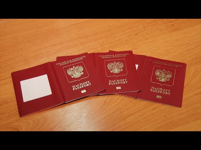 1000 паспортов за 3 месяца