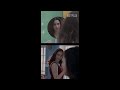 Tamannaah Bhatia And Vijay Varma S Behind The Scenes LustStories2 Shorts