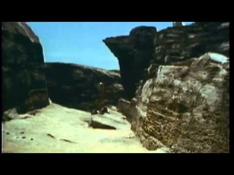 Video $Tanya's Island