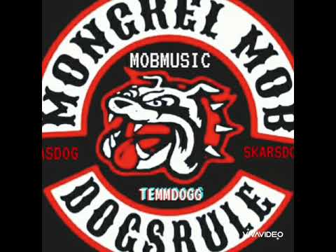 TEMM DOGG X MAS DOG X SKARS DOG DOGSRULE