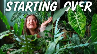 Reorganizing my entire Houseplant Collection in a Day