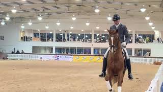 Un nouveau poulain pour Farouche