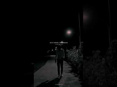 The Lion King New Hollywood (2023) Full Movie in Hindi Dubbed | Latest Hollywood Action Movie