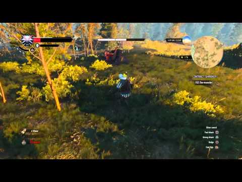 The Withcer 3: Wild hunt  pT 47