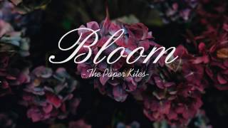 [Lyrics+Vietsub] Bloom - The Paper Kites