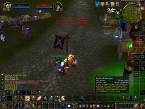 PALADIN VS PALA,MAGE