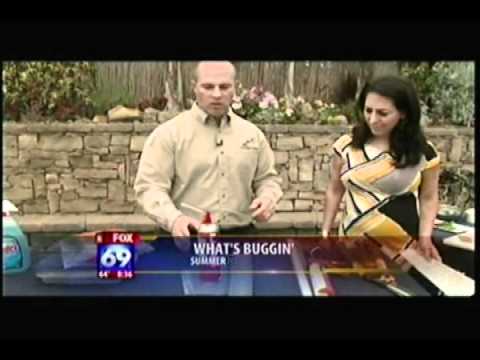 ELIMINATE PESTS  LLOYD PEST CONTROL  KSWB TV  6 29 11 8am