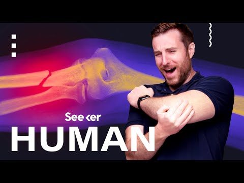 你的身體是如何處理疼痛的？ (How Does Your Body Process Pain?)