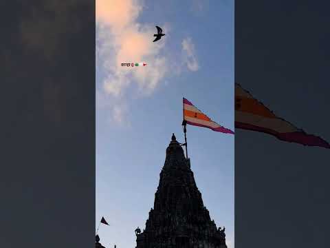 🥹🙇🙌#jaydwarkadhish #krushna #dwarkadhish