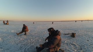 Ловля сорожки в мелькене