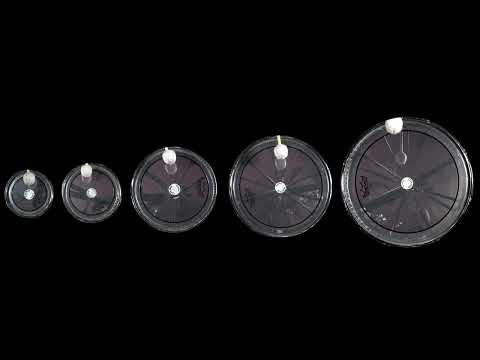 Lockdown Poems - Alexander Bauer - euphoria