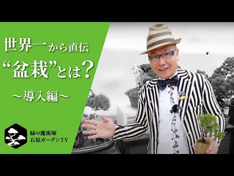 現代日本庭園 - 盆栽をどのように組み込むか?  庭園