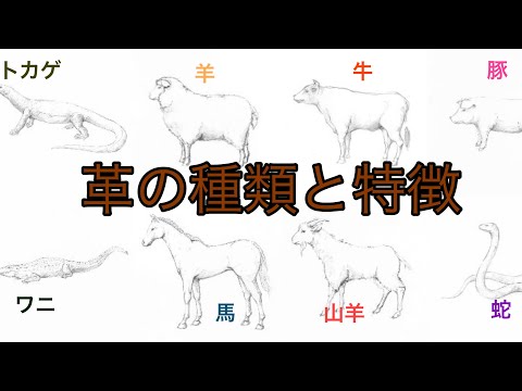 , title : '革の種類：牛・豚・羊・ヤギ・馬・鹿・トカゲ・ワニ・ガチョウ・蛇'