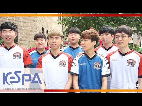 2017 LoL Champions Korea Summer - ROX Tigers Interview (+ EN/CN Sub)