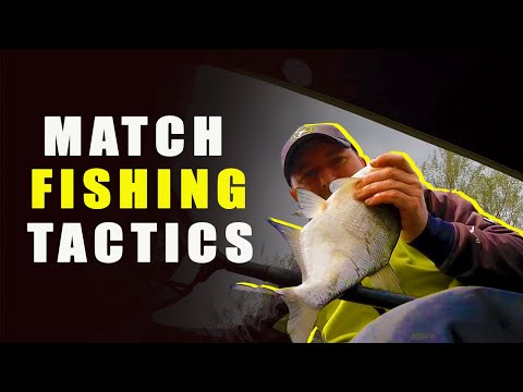 How To Plan Your Next Fishing Match | Fishing Basics