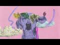 Sia Furler - Riding on My Bike (From At Home with the Kids) [Lyric Video]