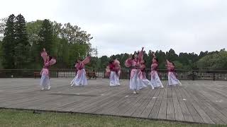 想叶縁来奏　願いproject2026