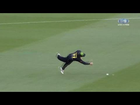 Warner removes Malan with athletic run out