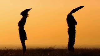 Live forever - Dj James Yammouni