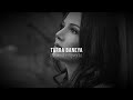 Taara Baneya Slowed Reverb Miel