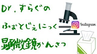【インスタ映え】Dr.すらぐのフォトジェニック顕微鏡かんさつ #01「花粉」