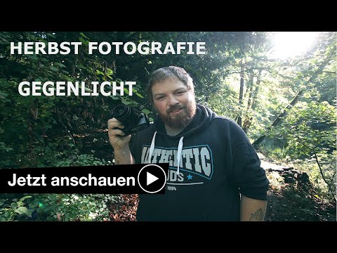 Fotografieren im Herbst 🍁 Tipps für Anfänger Teil 4 / Cuxhaven Fotos | Cuxhaven Fotografiert