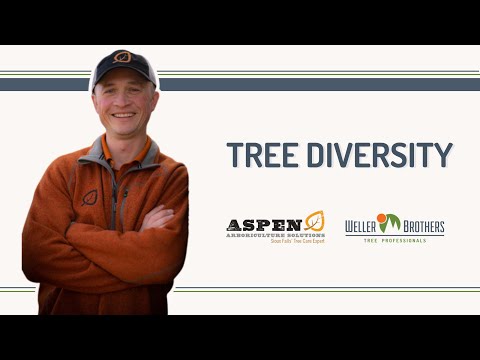 Tree Diversity | Tree Talk with Sam