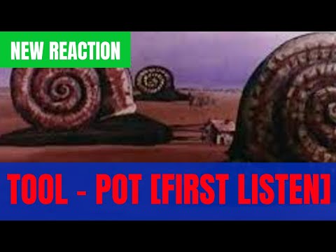 Hip Hop Head Reacts To Tool "Pot" | My First Time Hearing Tool - "Pot" [REACTION]