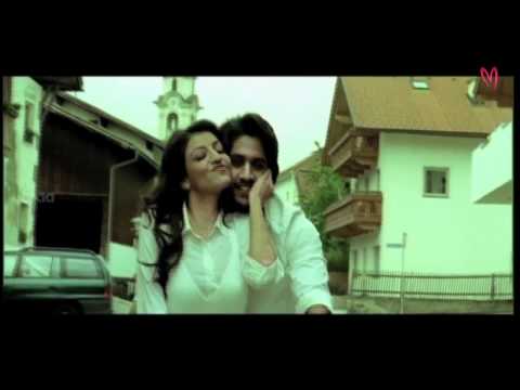 Dhada Songs - Hello Hello Laila