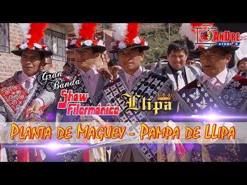 SHOW FILARMONICA LLIPA ▶ PLANTA DE MAGUEY - PAMPA DE LLIPA /  Video Clip