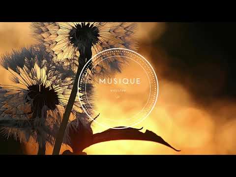 Nilamayé - Los Negritos (Wanduta Edit)