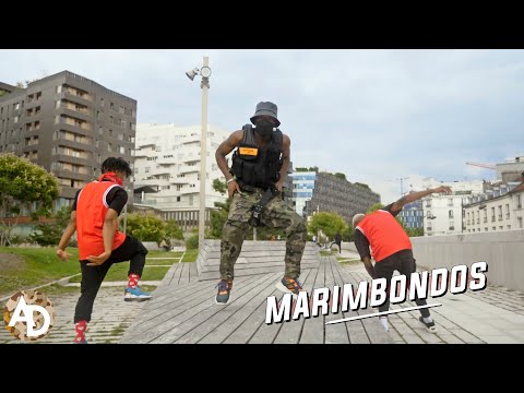 Gaia Beat X Kabra Macho - Marimbondos (Dance Video)
