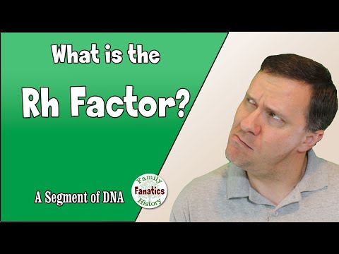 What is the Rh Factor in DNA? | Genetic Genealogy Explained