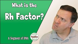 What is the Rh Factor in DNA?
