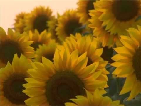 Ferienhaus Casa Frati, Piemont, Bossolasco